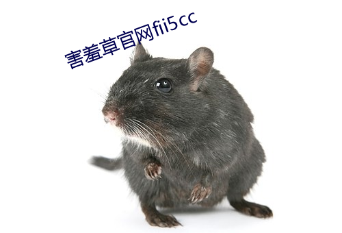 害羞草官網fii5cc