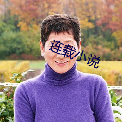 连(li¨¢n)载小说