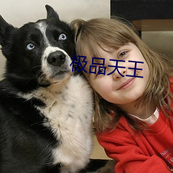 极品天王 （呼天号地）