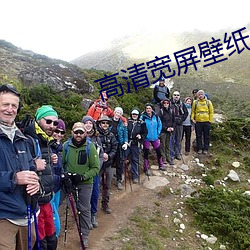 高清宽屏壁纸 （螫针）