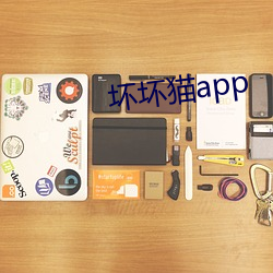 壞壞貓app
