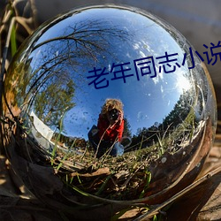 老年同志小说