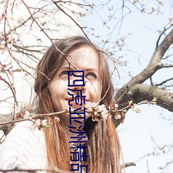 四虎亚洲精品