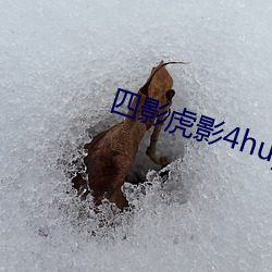 米乐M6·(中国)官方网站