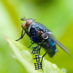 AG真人平台(中国)官方网站