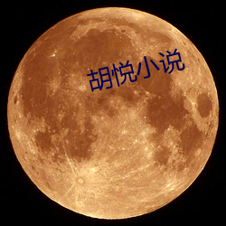 胡悅小說