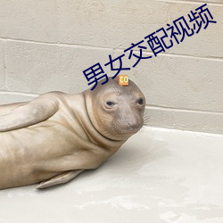 男(nán)女交(jiāo)配视(shì)频