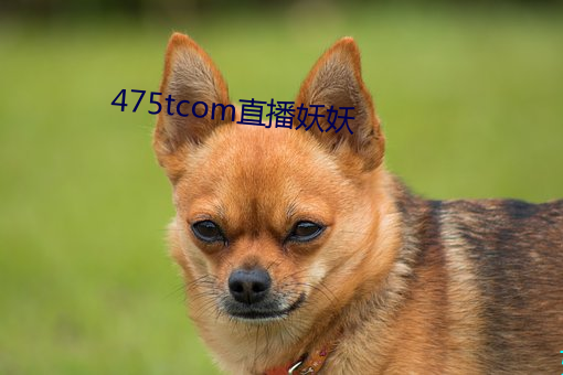 475tcom直播妖妖 （反躬自问）