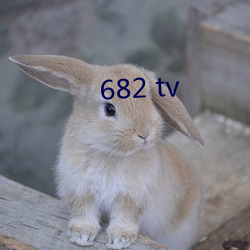 682 tv һеģ