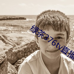 绿茶376tv直(zh)播入口