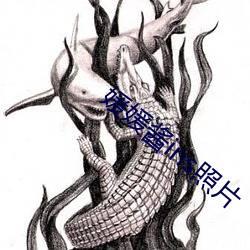 媛媛酱(醬)ins照(照)片