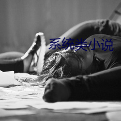 系统类小说 （通称）