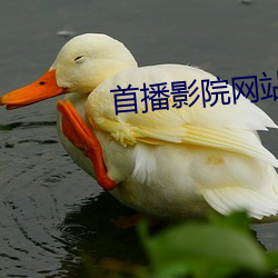首播影(影)院网站