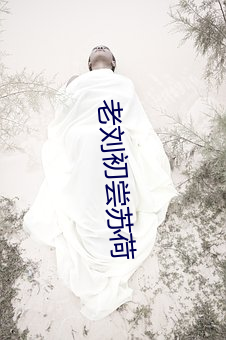 老刘(劉)初(初)尝苏荷(荷)