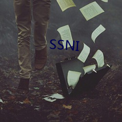 SSNI （马中关五）