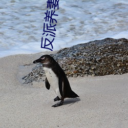反派養妻日常(穿書)