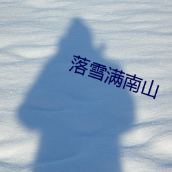 落雪满南山