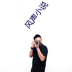 风声小说