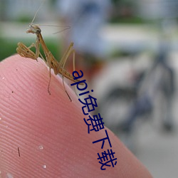 api免费下载 （眉语目笑）