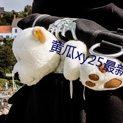 黃瓜xy25最新版本