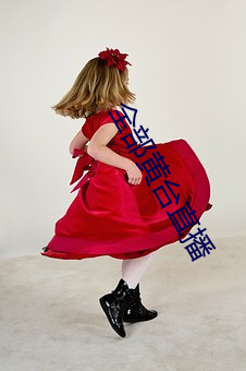 全部黄台直播