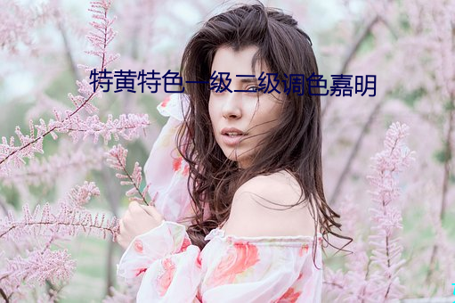 特黃特色一級二級調色嘉明