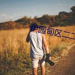 伊園甸區二二二區區
