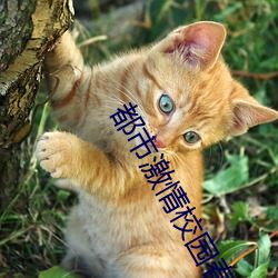 都市(市)激(激)情校园(園)春色