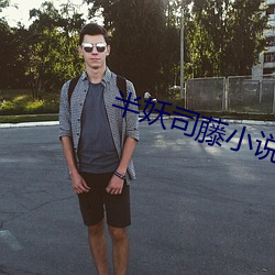 半妖司藤小說