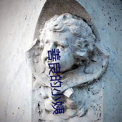 918博天堂·(中国)手机版客户端
