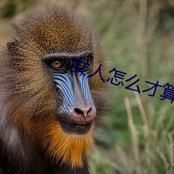 女人怎么(麽)才算高湖(湖)