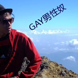 GAY男性奴