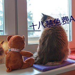 鸿运国际·(中国)会员登录入口