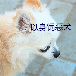 以身饲恶犬