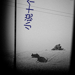 小说(shuō)十个字母蛇叔