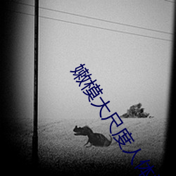 AG真人平台(中国)官方网站