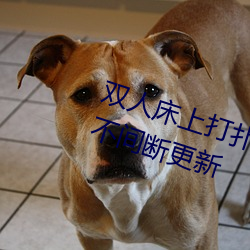 欧博abg - 官方网址登录入口