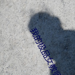 我的极品女教师