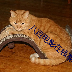 八百电影在线高清免费观看 （冷若冰霜）