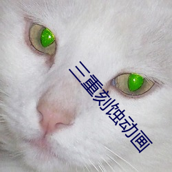 三重刻蚀动画