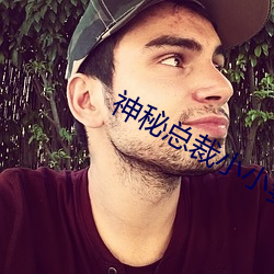 神秘总(總)裁小(小)小妻