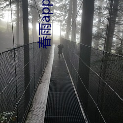 春雨app下载