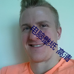 电脑(腦)壁(壁)纸 高清