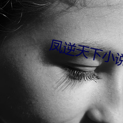凤(鳳)逆天下小(小)说(說)
