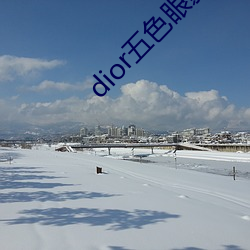 dior五色眼影777