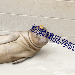 粉嫩精品导航导航
