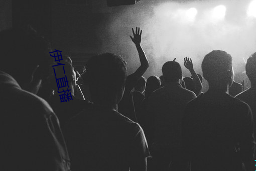 伊仁直播 （抽梁换柱）