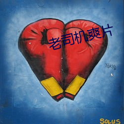 老司机爽片