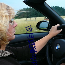 夜月(月)直播app破(破)解版