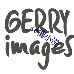 se情小说 （逾闲荡检）